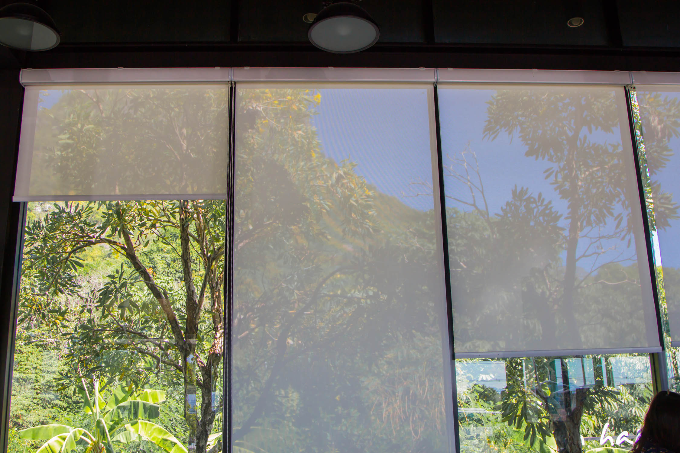 white roller blinds or curtains at the glass window