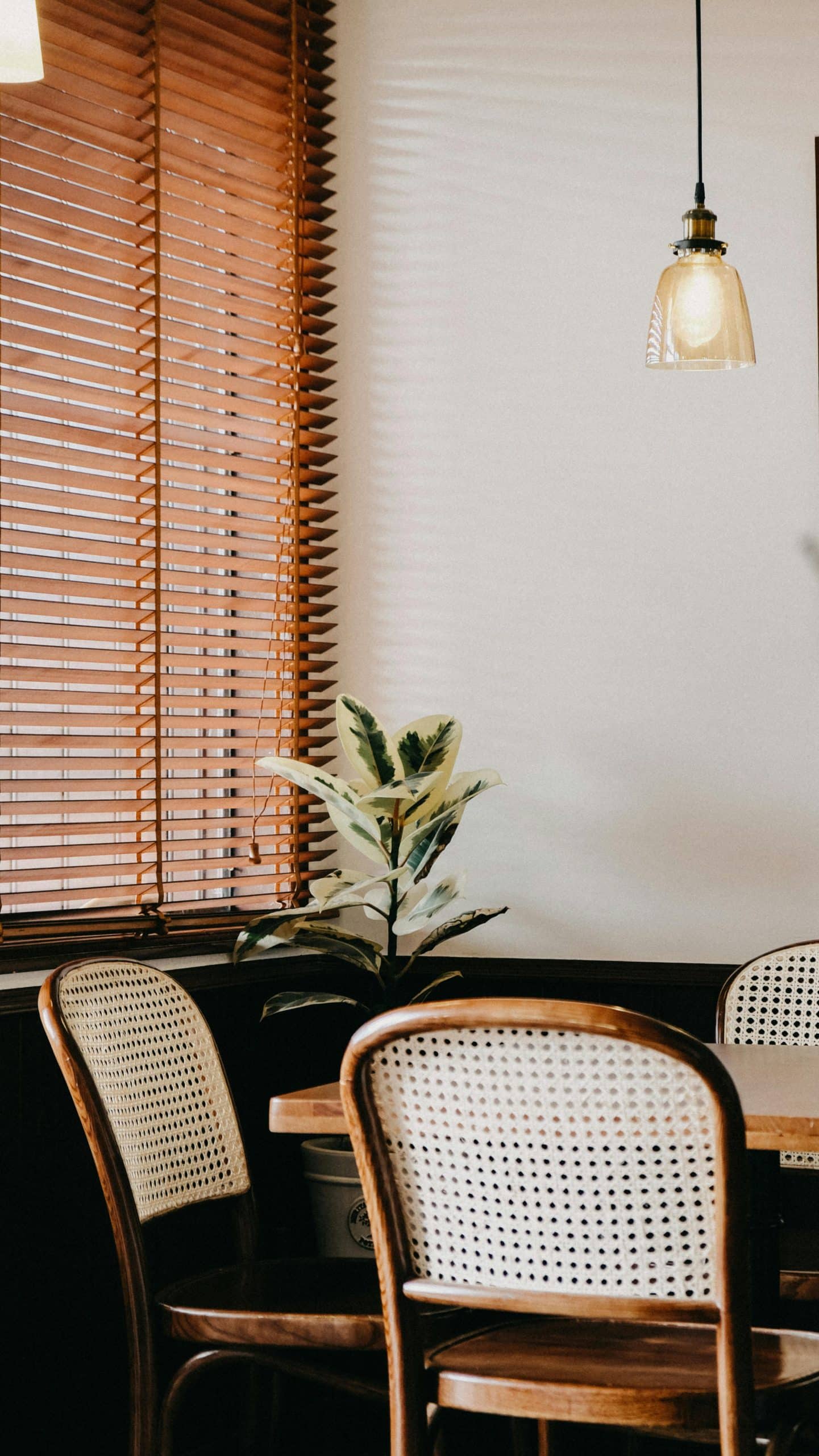 Venetian Blinds-Living room