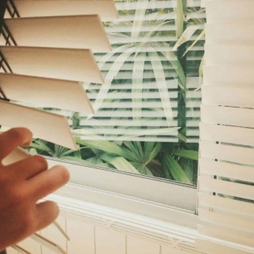 Venetian Blinds 6 Venetian Blinds